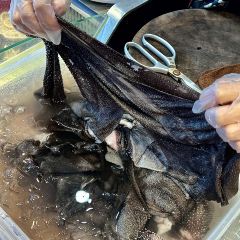 70大叔鲜毛肚火锅 User Photo