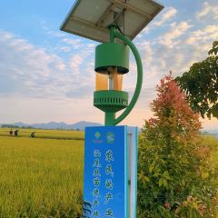 陈记鸡蛋饼(红场店) User Photo