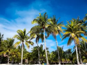 Wuzhishan Grand Canyon Rafting