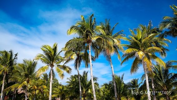 Wuzhishan Grand Canyon Rafting