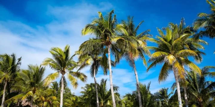 五指山大峽谷漂流