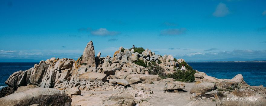 Pacific Grove
