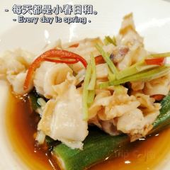 HAN SHE User Photo