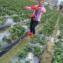 野趣園8號庭院張用戶圖片