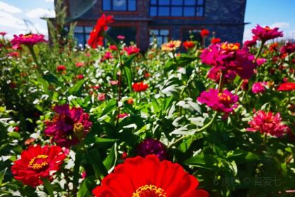 朝鲜族冷面馆(红军路店)