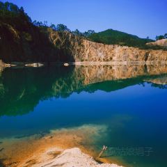 翠園農莊張用戶圖片