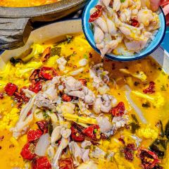 瑞豐包點張用戶圖片