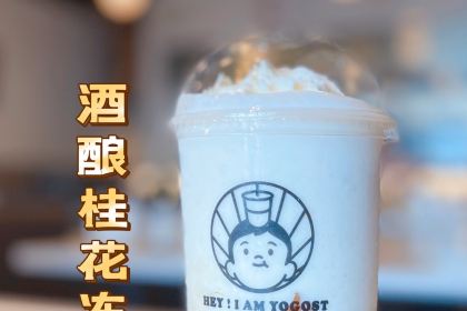 Hey I am Yogost 我是酸奶君