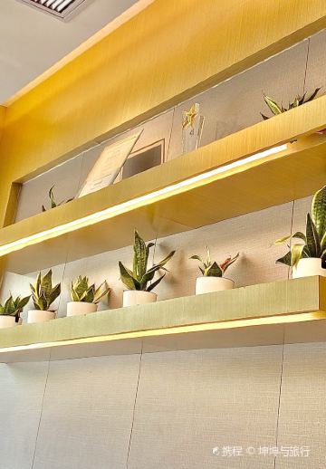 古茗（新天地店）