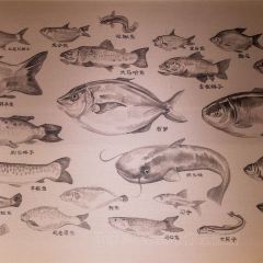 Wanshifajiujia CCTV shangbangyuyan User Photo