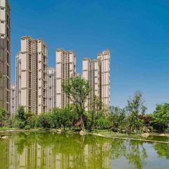 恋家婆乌鸡米线(恒大·天府半岛店) User Photo