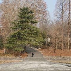 光山縣潑河鎮三裡橋土菜館張用戶圖片