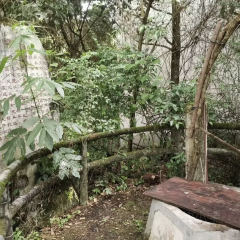 鐘大叔桂花烤羊用戶圖片