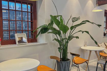 三秋糖舍(所城里店)