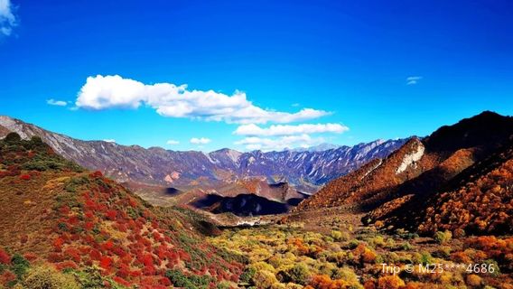 Qunjia National Forest Park