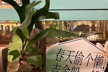 吉舍Cafe&Bar(埂子街店)