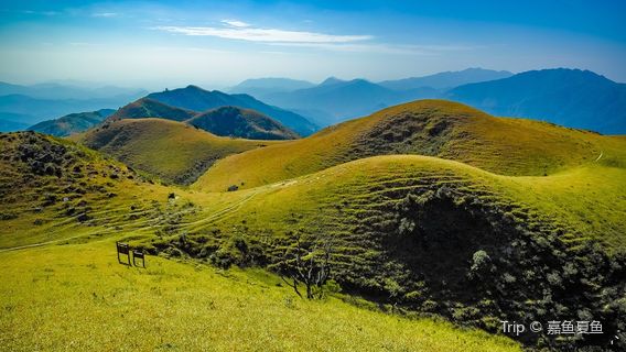 Jilongding prairie