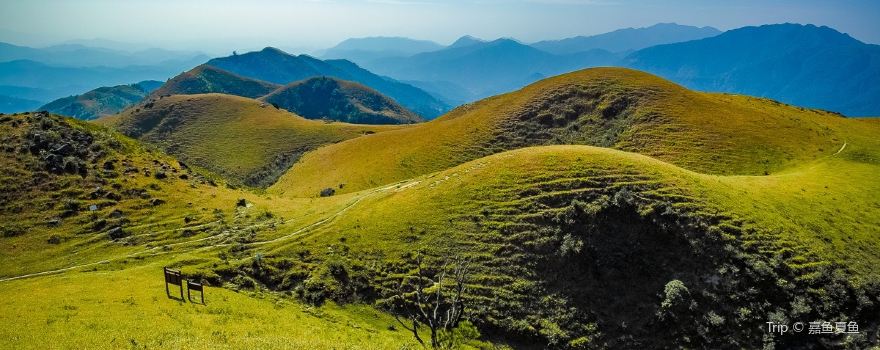 Jilongding prairie