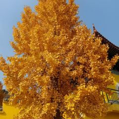 水城三国小镇美食 여행 사진