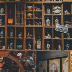 悟知邊道張用戶圖片