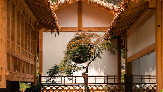 The Jingming Valley Scenic Area of Yandang Mountains