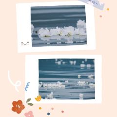 灶台鱼 User Photo