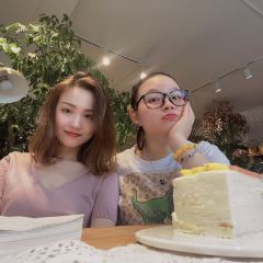 不老的花园 User Photo