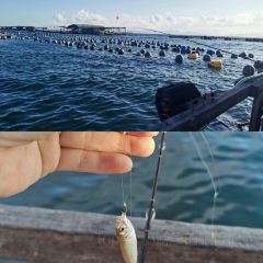 和祥海鲜馆(黄道周公园店) User Photo