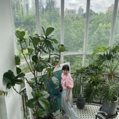 BoboLEE Roof Garden User Photo