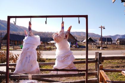 HE MU TU HUO GUO TU JI GUAN