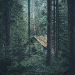Pfälzer Wald Stub'n User Photo
