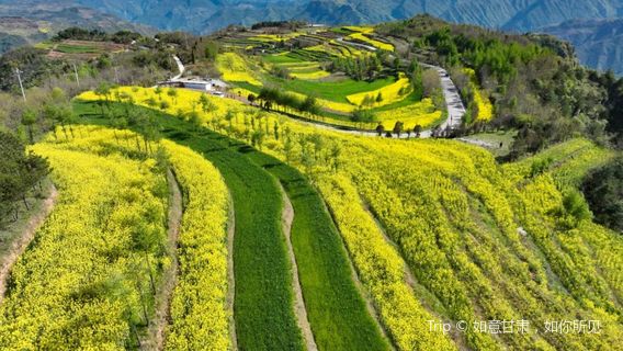 ภูเขาโทชิ