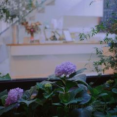 馥约花艺咖啡 User Photo