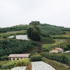吉林松岭雪村郭家大院 User Photo