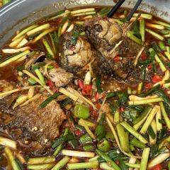 葱葱鲫鱼 User Photo