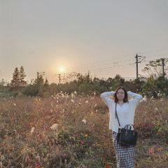 梅峰饭店 User Photo