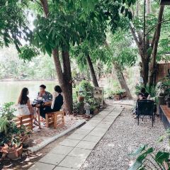 Tree Shade User Photo