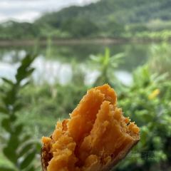 TU ZAO REN GU ảnh của người dùng
