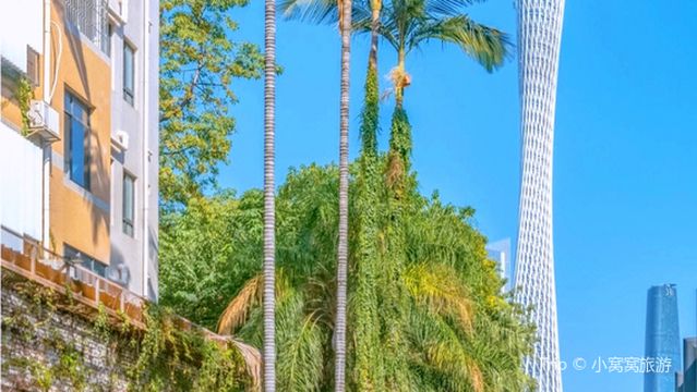 T28OAK Oak Courtyard