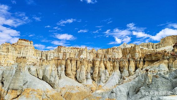 Zhada Xiayigou Earth Forest Scenic Area