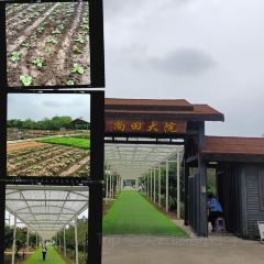 尚田大院張用戶圖片