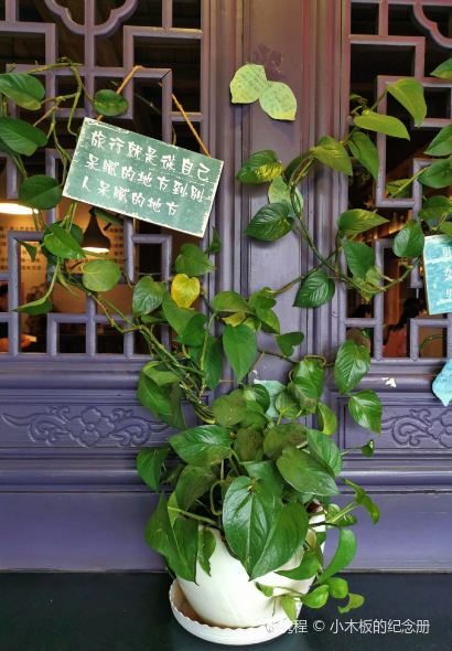 GU LOU SLICED NOODLES