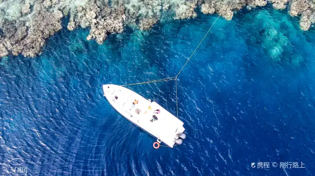 Sea-fishing in Jeddah