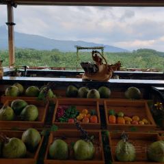 七仙嶺龍灣珺唐酒店唐苑中餐廳張用戶圖片