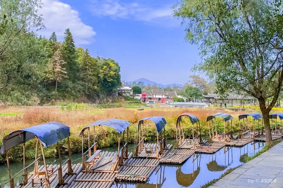 李坑賞油菜花海