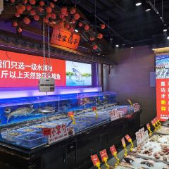 孙掌勺鱼头泡饼(怀特店) User Photo