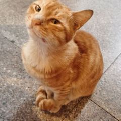 杨家花园(红井街店) User Photo