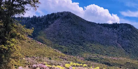 直白村