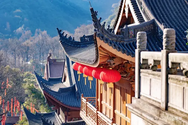 Hangzhou Buddhist Culture Experience