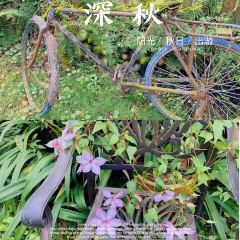 筱筱家 User Photo